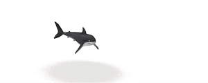 Shark-animation-120
